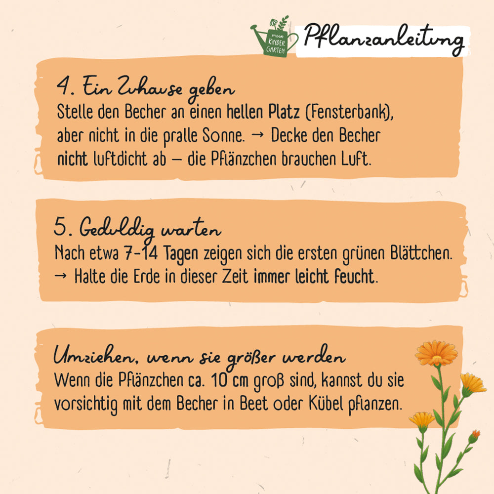 zum Titel Ringel-Ringel-Blume