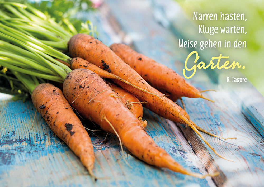 Frontcover zum Titel Narren hasten, Kluge warten, Weise gehen in den Garten.
