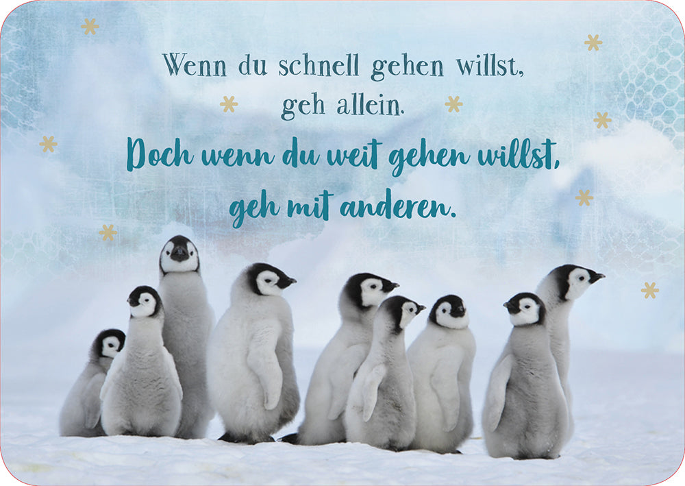 Frontcover zum Titel Wenn du schnell gehen willst, geh allein.
