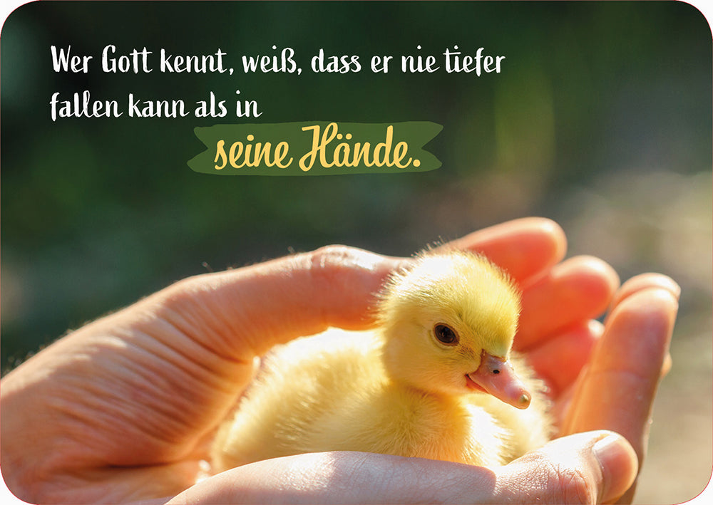 Frontcover zum Titel Wer Gott kennt, weiß, dass er nie tiefer fallen kann als in seine Hände.
