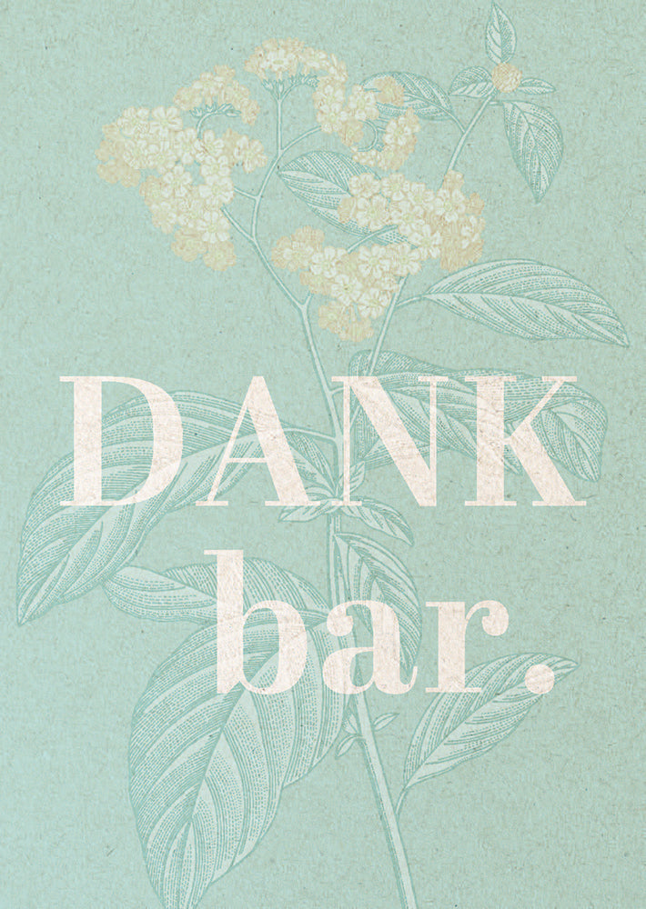 Frontcover zum Titel Dankbar.