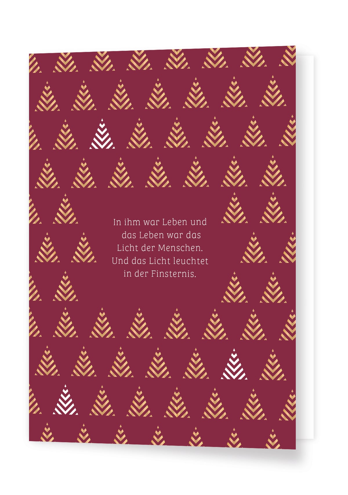 Weitere-Cover zum Titel In ihm war Leben