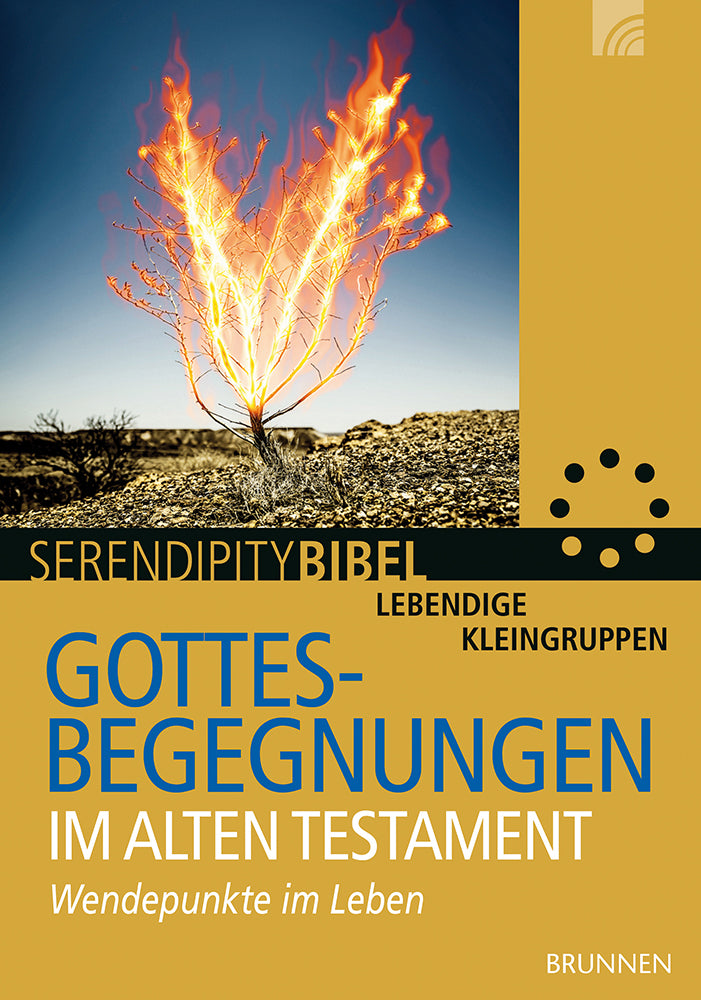 Frontcover zum Titel Gottesbegegnungen im Alten Testament 