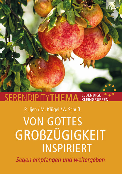 Frontcover zum Titel Von Gottes Großzügigkeit inspiriert