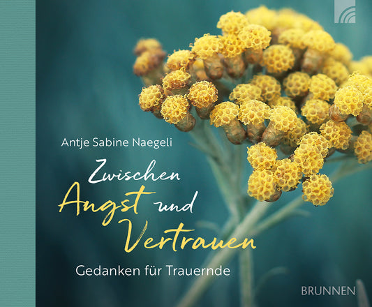 Frontcover zum Titel Zwischen Angst und Vertrauen