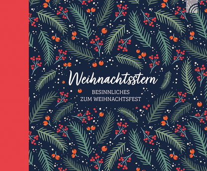 Frontcover zum Titel Weihnachtsstern