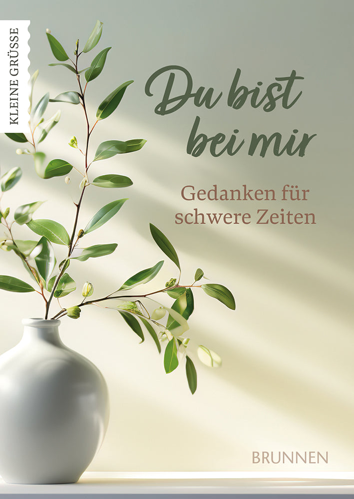 Frontcover zum Titel Du bist bei mir