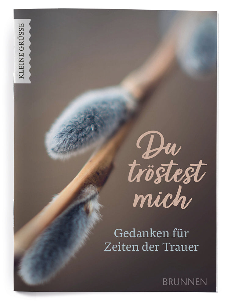 Weitere-Cover zum Titel Du tröstest mich