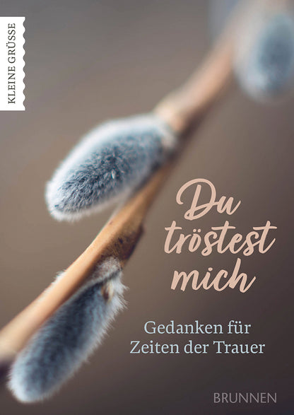 Frontcover zum Titel Du tröstest mich
