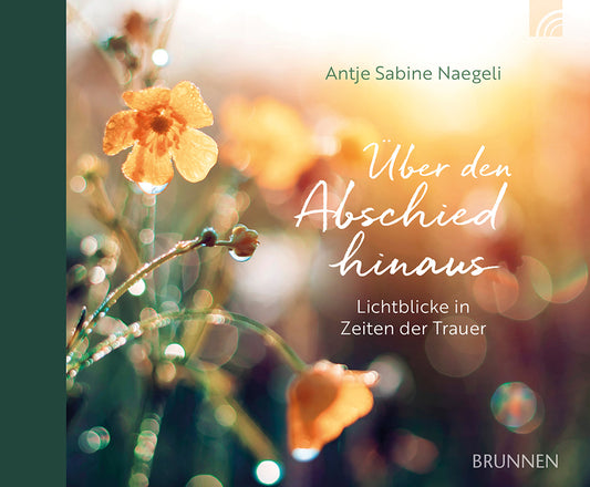 Frontcover zum Titel Über den Abschied hinaus
