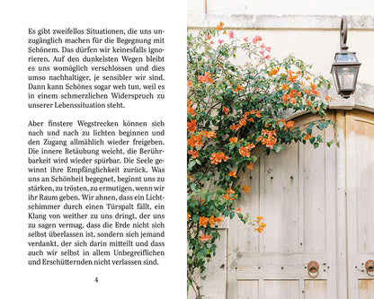  zum Titel Schönheit lädt uns ein
