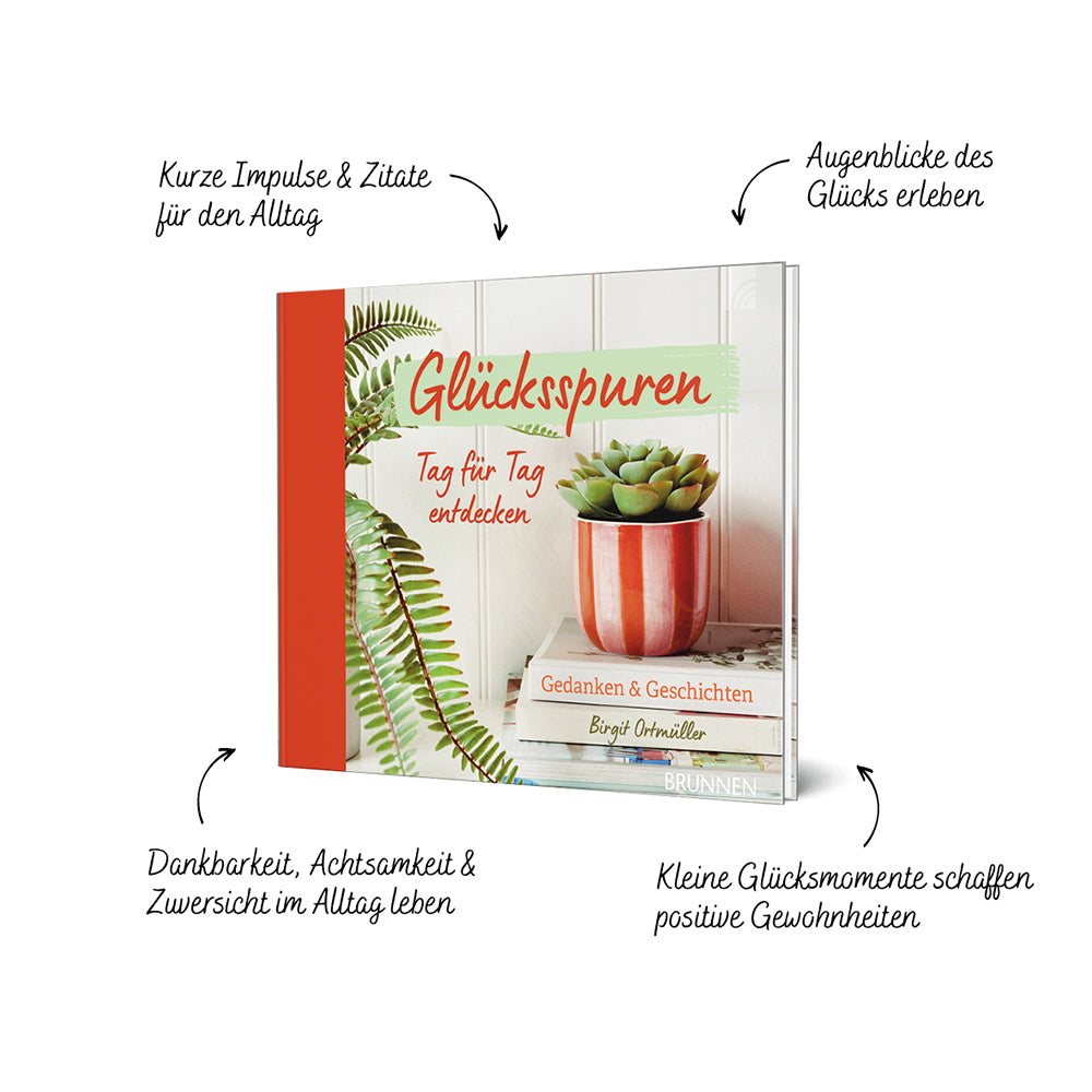 Produktbild zum Titel Glücksspuren Tag für Tag entdecken