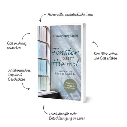 Produktbild zum Titel Fenster zum Himmel
