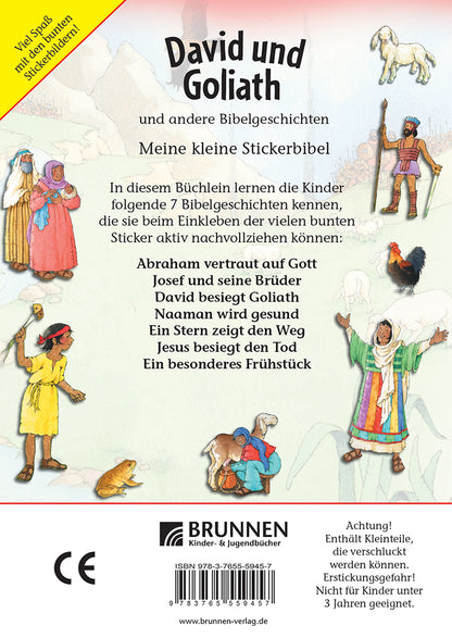Backcover zum Titel David und Goliath