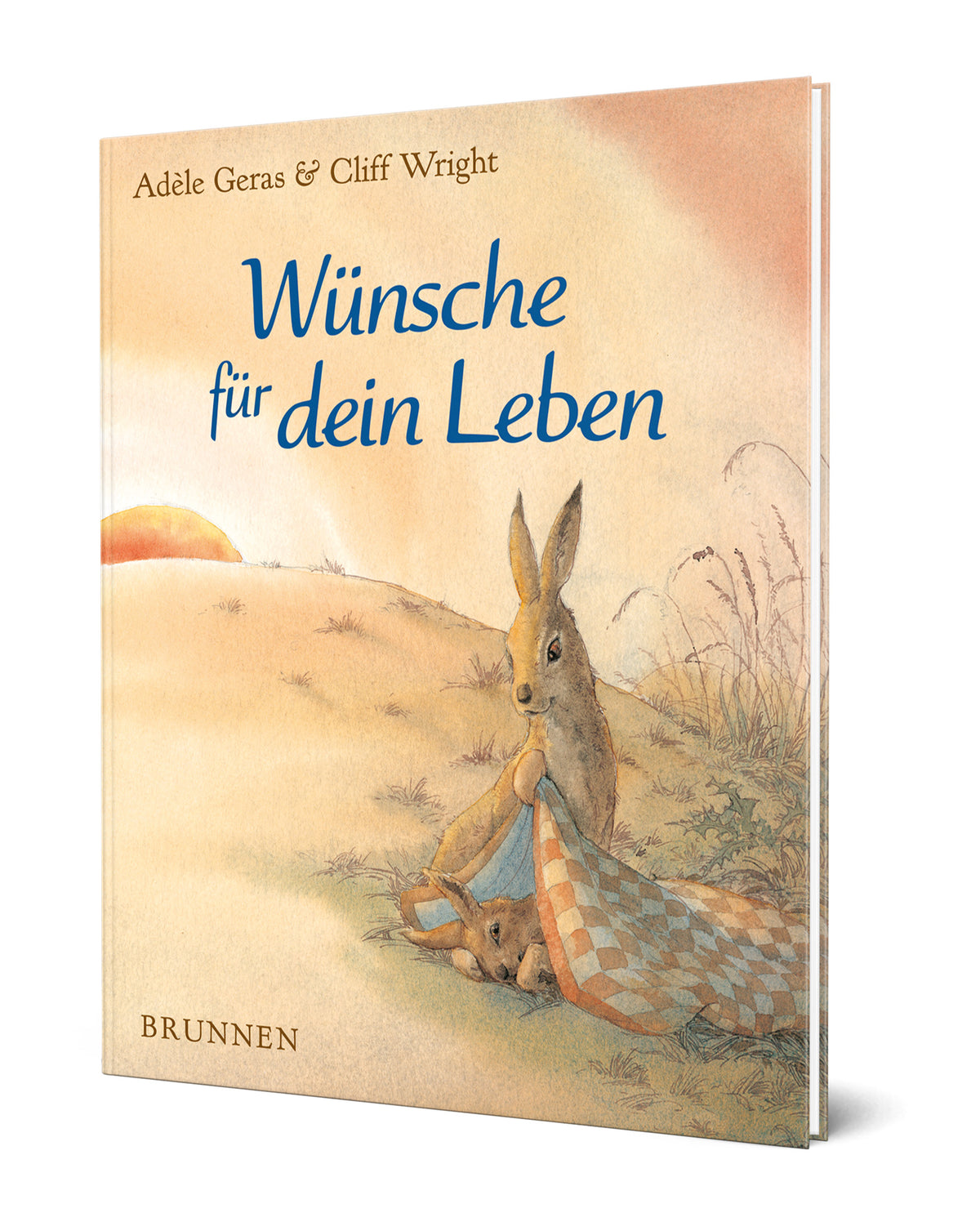 Weitere-Cover zum Titel Wünsche für dein Leben