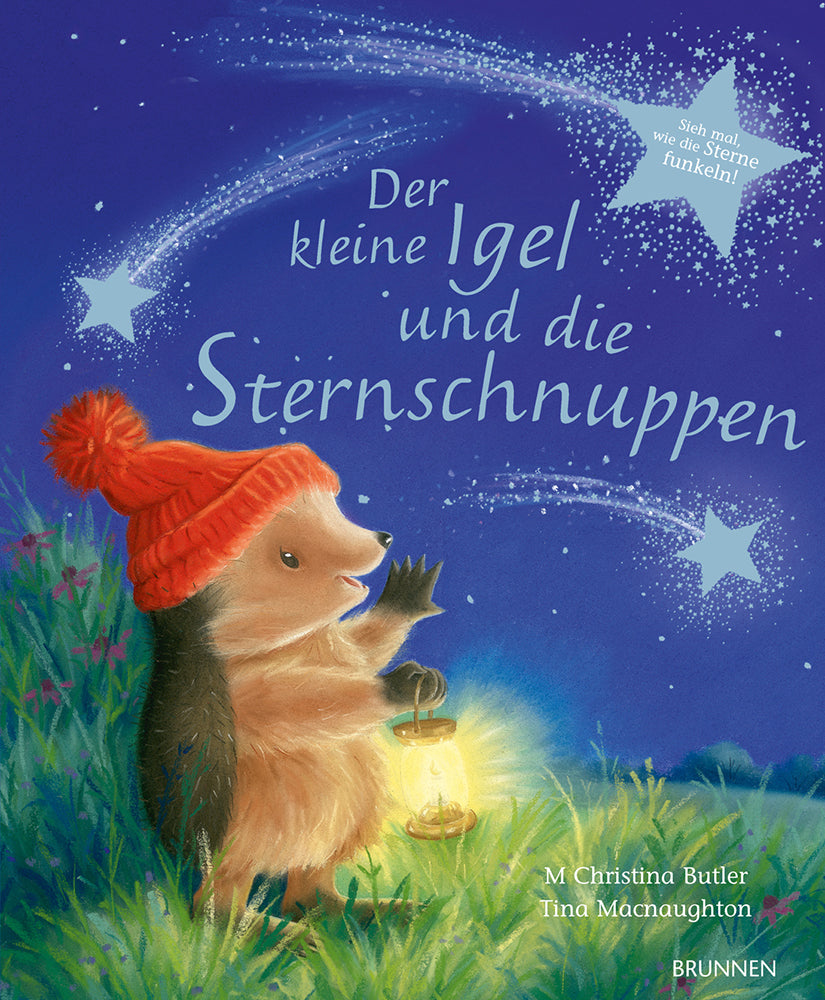 Frontcover zum Titel Der kleine Igel und die Sternschnuppen