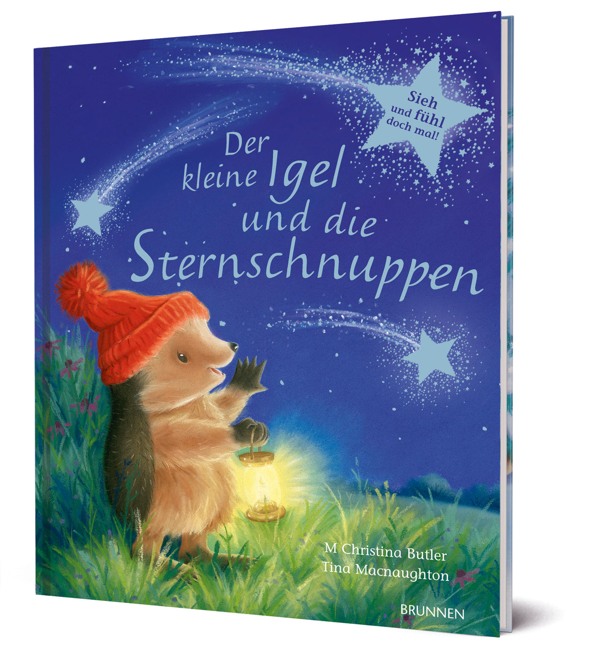 Weitere-Cover zum Titel Der kleine Igel und die Sternschnuppen