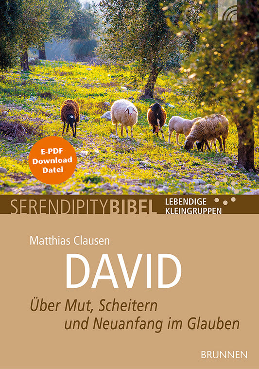 Frontcover zum Titel David