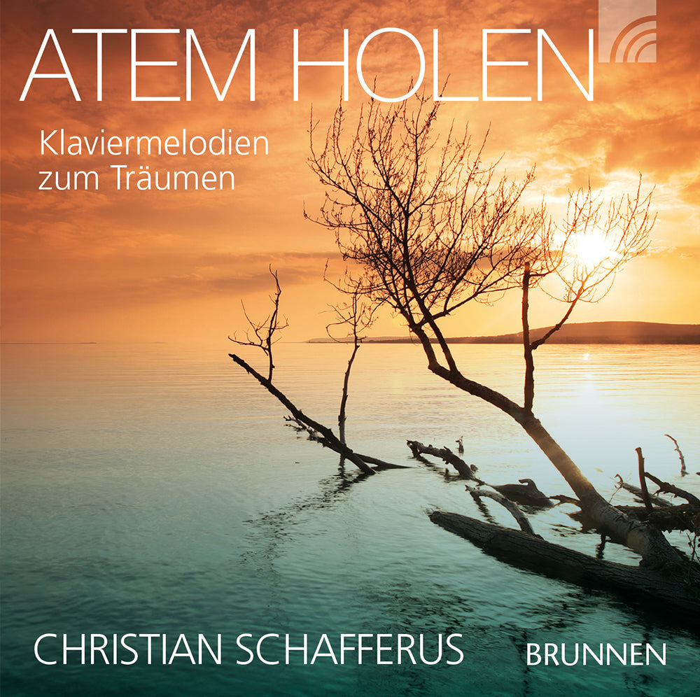 Frontcover zum Titel Atem holen