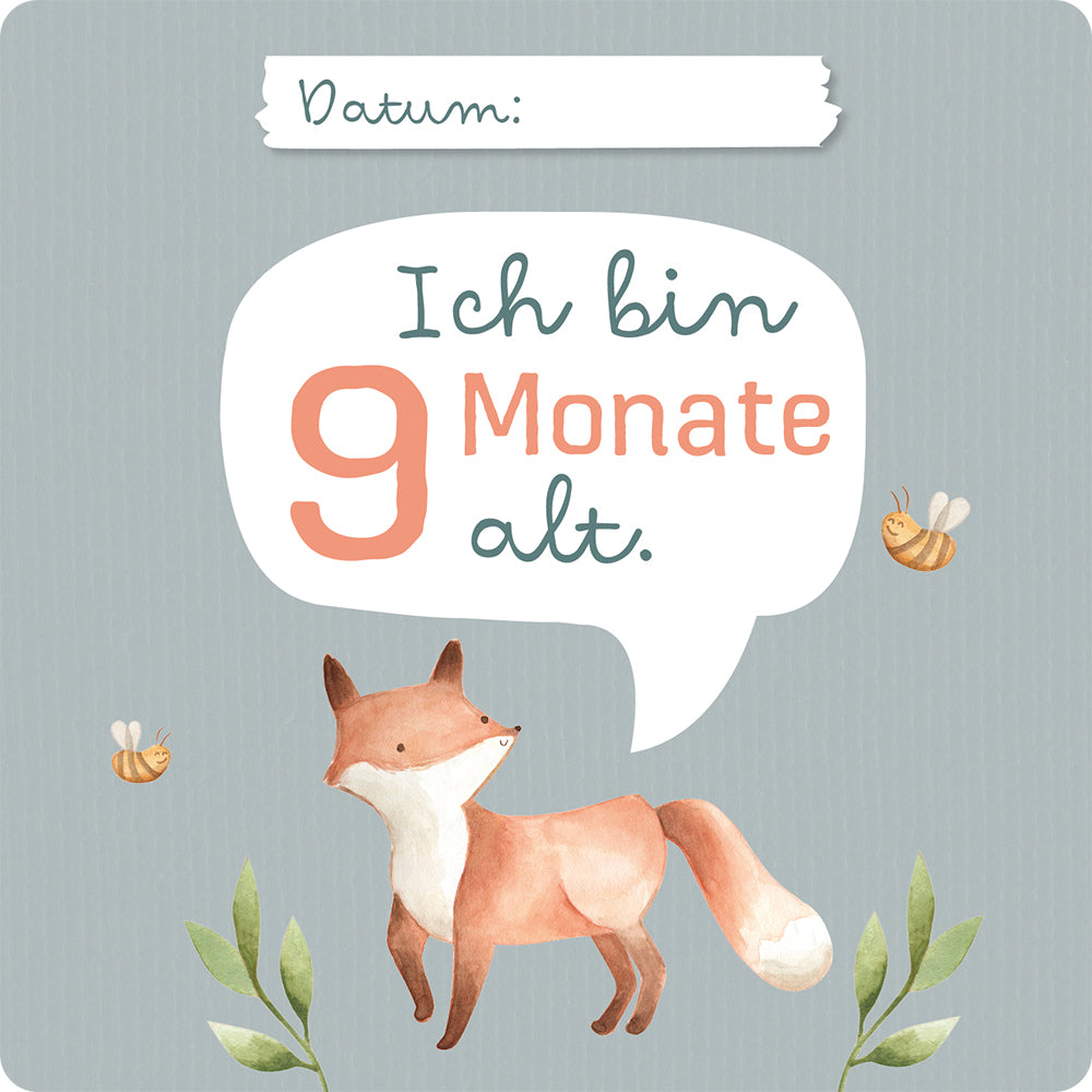  zum Titel Mein erstes Jahr