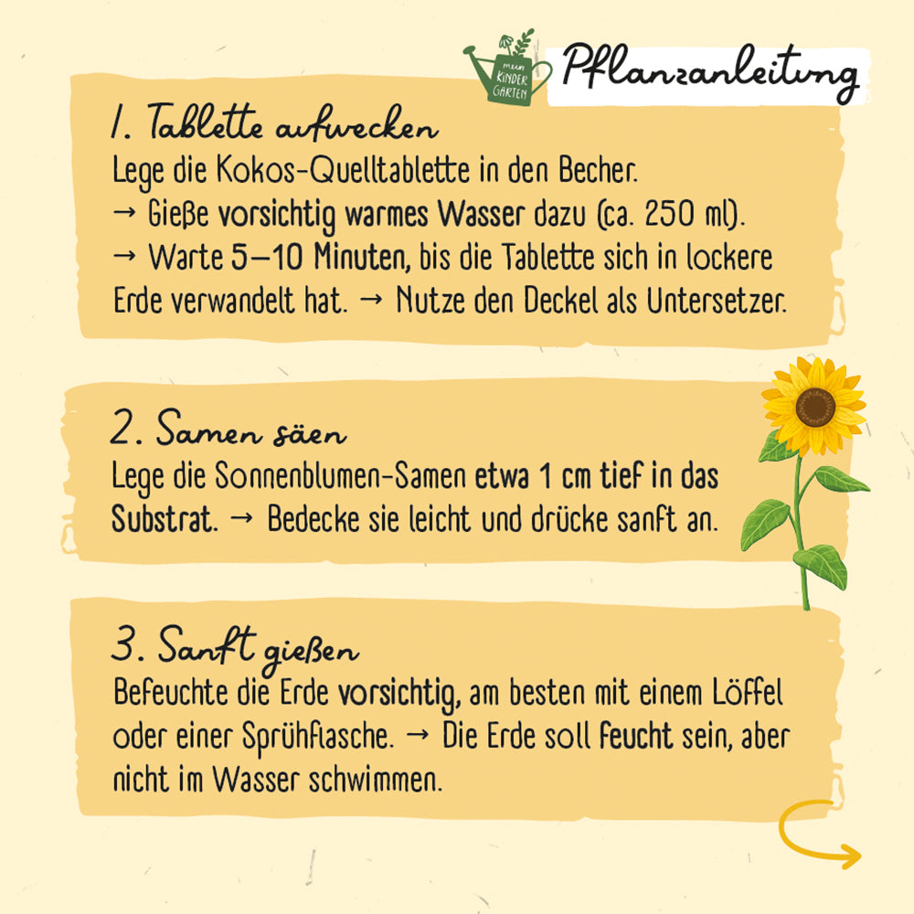  zum Titel Meine erste Sonnenblume