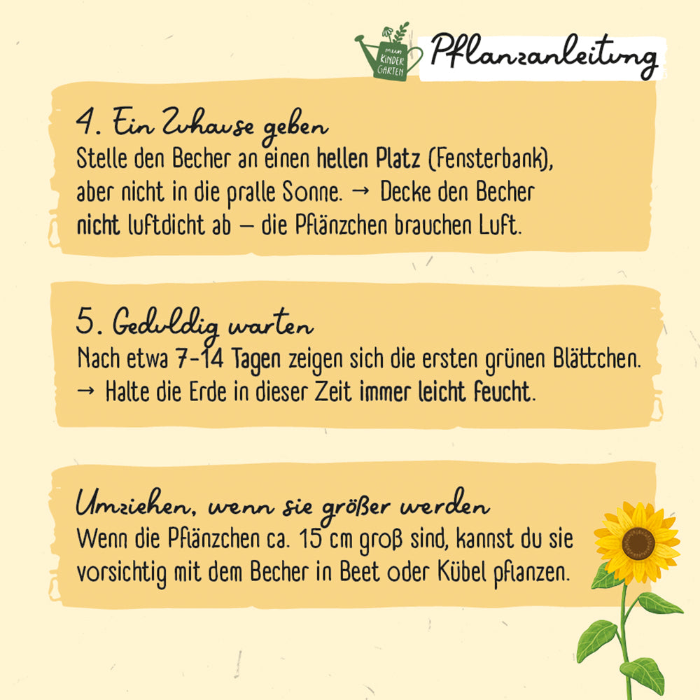  zum Titel Meine erste Sonnenblume