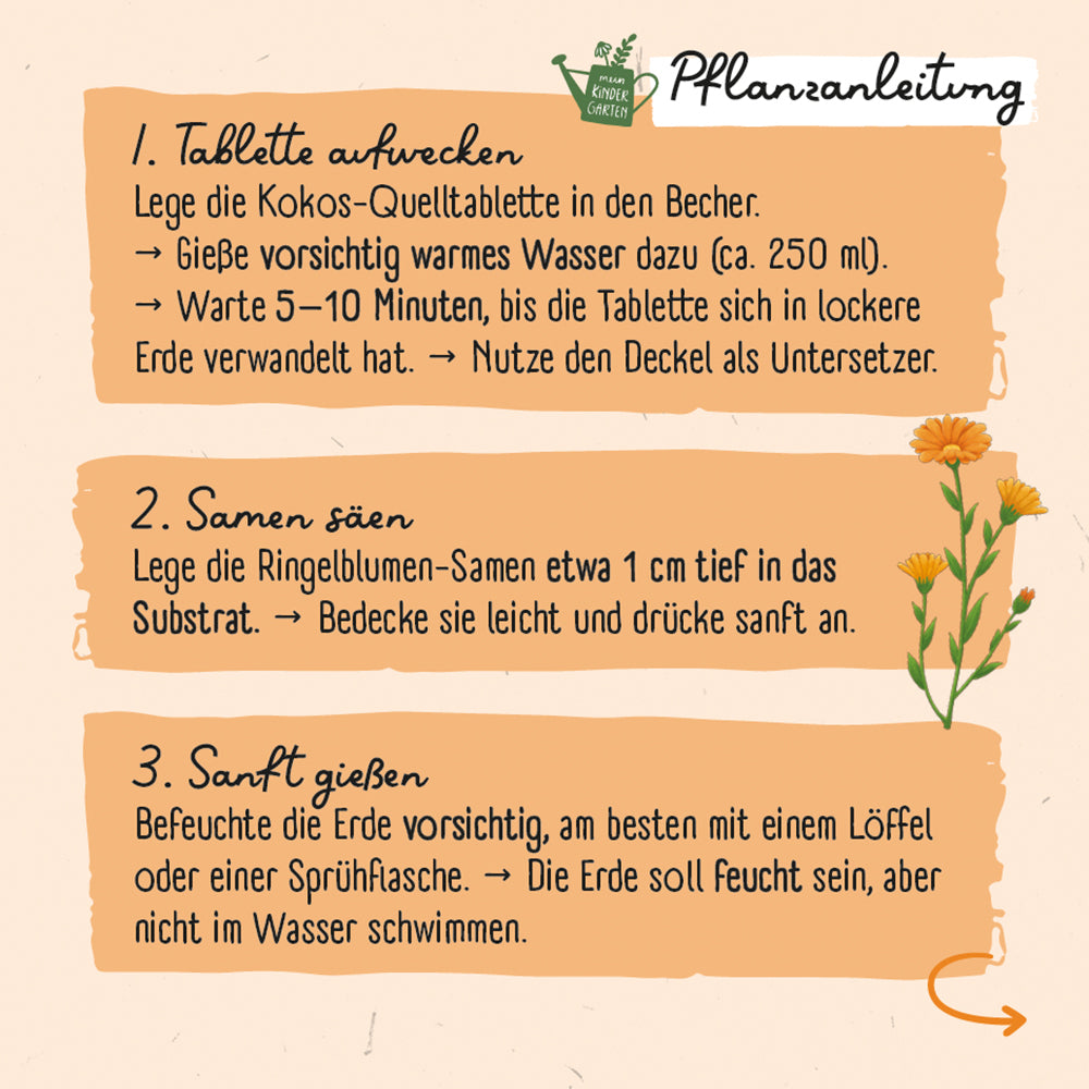  zum Titel Ringel-Ringel-Blume