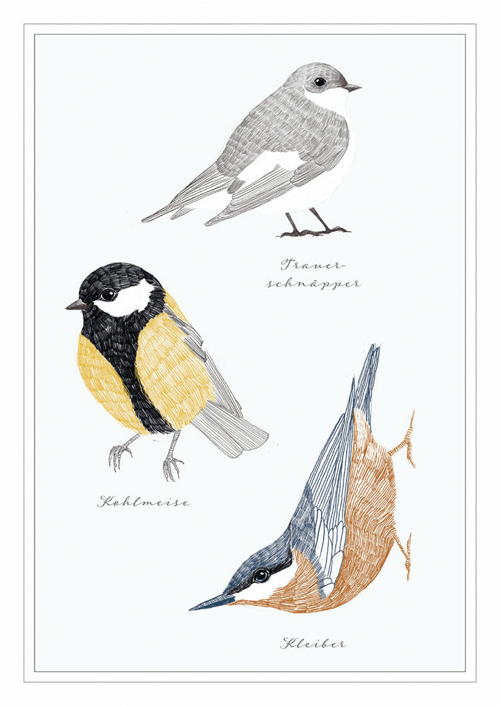 Frontcover zum Titel Vögel