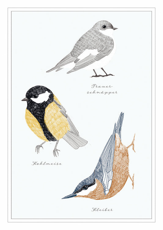 Frontcover zum Titel Vögel
