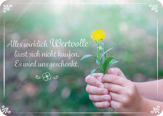 Frontcover zum Titel Alles wirklich Wertvolle lässt sich nicht kaufen. Es wird uns geschenkt.