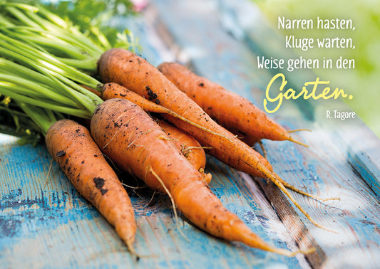 Frontcover zum Titel Narren hasten, Kluge warten, Weise gehen in den Garten.