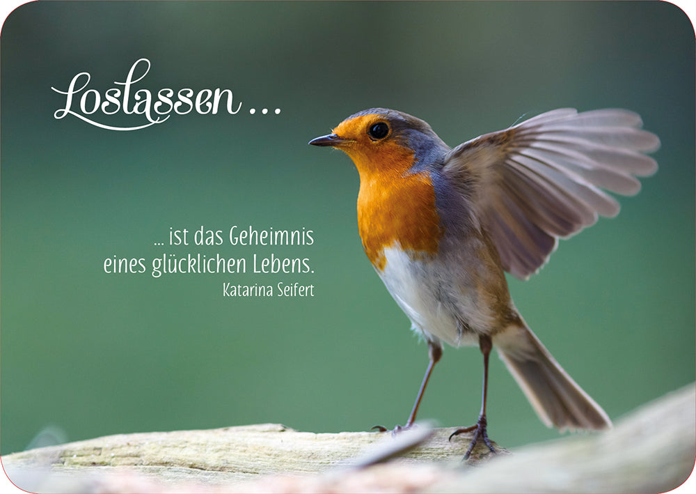 Frontcover zum Titel Loslassen ist das Geheimnis eines glücklichen Lebens. Katarina Seifert