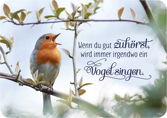 Frontcover zum Titel Wenn du gut zuhörst, wird immer irgendwo ein Vogel singen.