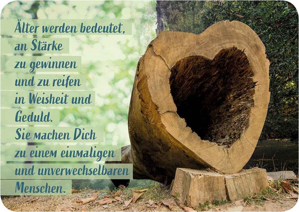 Frontcover zum Titel Älter werden bedeutet, an Stärke zu gewinnen und zu reifen in Weisheit