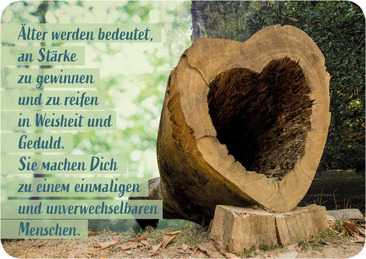 Frontcover zum Titel Älter werden bedeutet, an Stärke zu gewinnen und zu reifen in Weisheit