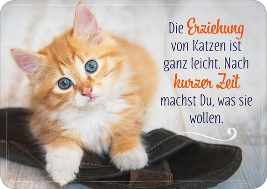 Frontcover zum Titel Die Erziehung von Katzen ist ganz leicht. Nach kurzer Zeit machst Du, was sie wo
