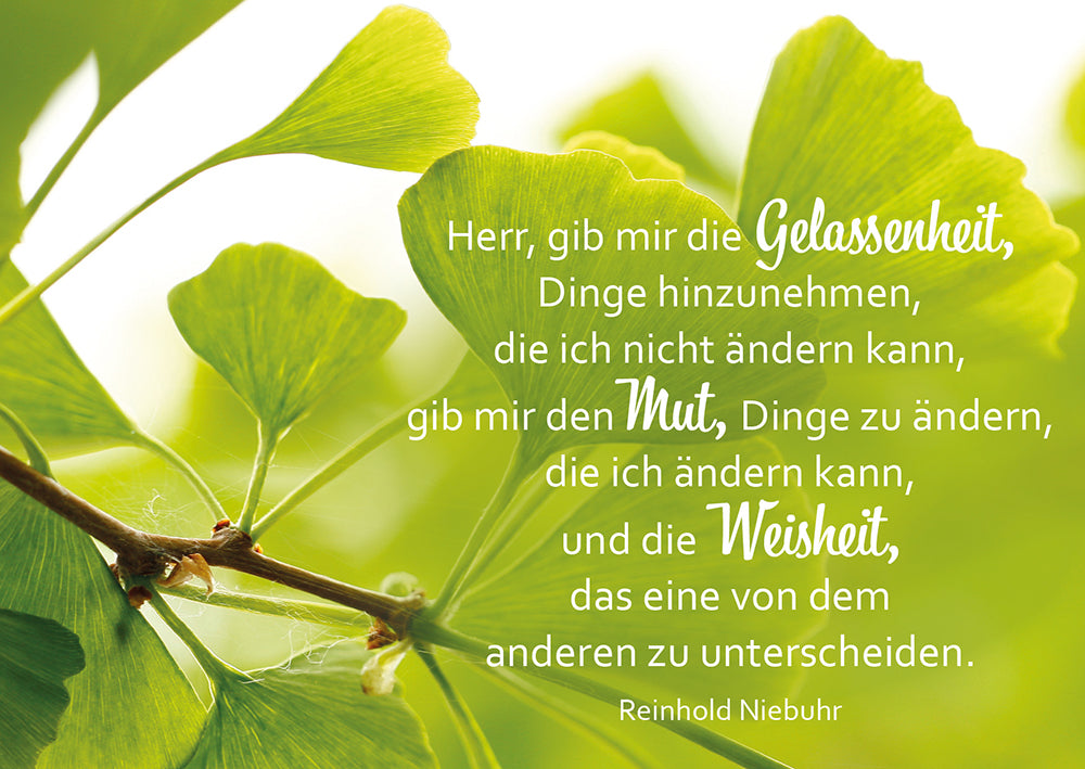 Frontcover zum Titel Herr, gib mir die Gelassenheit, Dinge hinzunehmen, die ich nicht ändern kann
