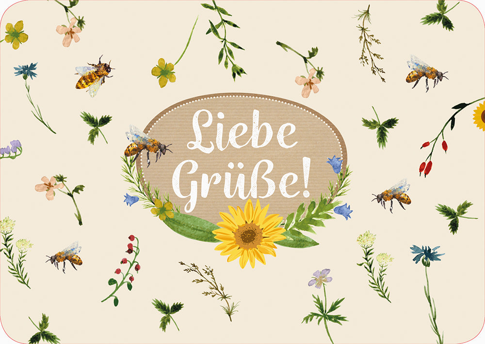 Frontcover zum Titel Liebe Grüße!