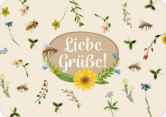 Frontcover zum Titel Liebe Grüße!