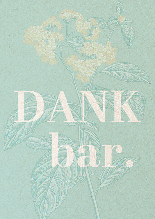 Frontcover zum Titel Dankbar.