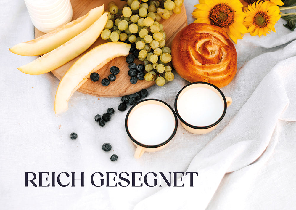 Frontcover zum Titel Reich gesegnet