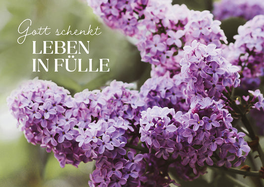 Frontcover zum Titel Gott schenkt Leben in Fülle