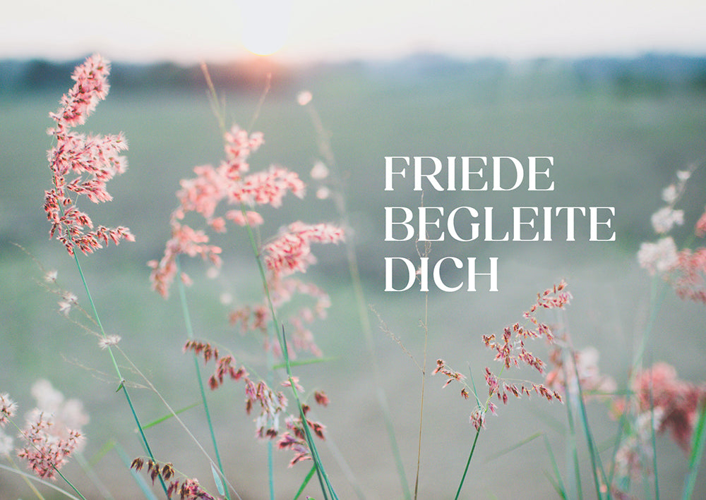 Frontcover zum Titel Friede begleite dich