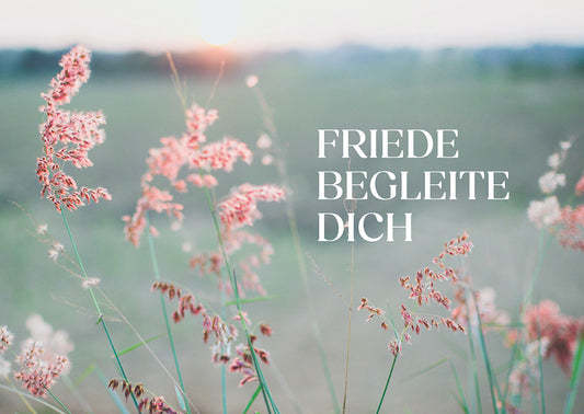 Frontcover zum Titel Friede begleite dich