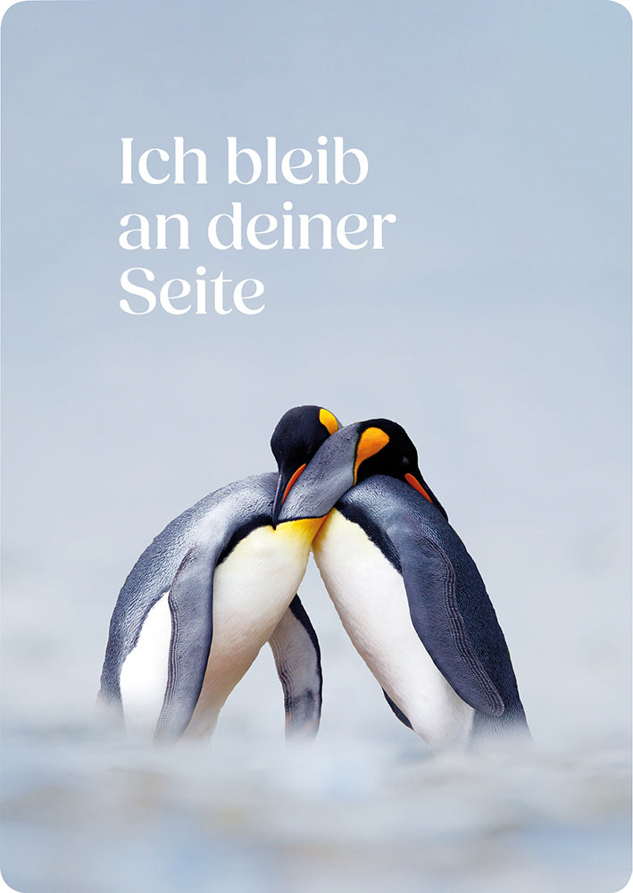 Frontcover zum Titel Ich bleib an deiner Seite
