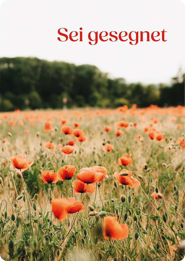 Frontcover zum Titel Sei gesegnet