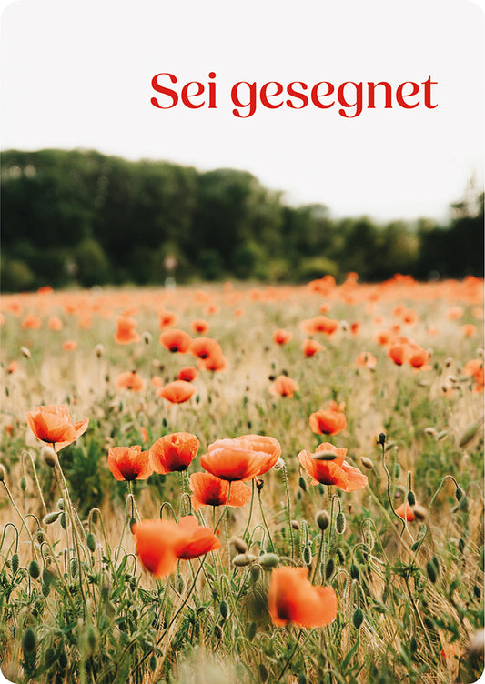 Frontcover zum Titel Sei gesegnet
