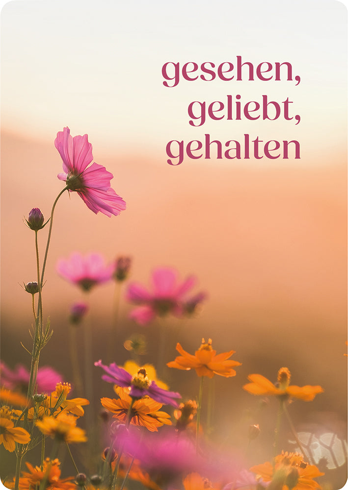 Frontcover zum Titel gesehen, geliebt, gehalten