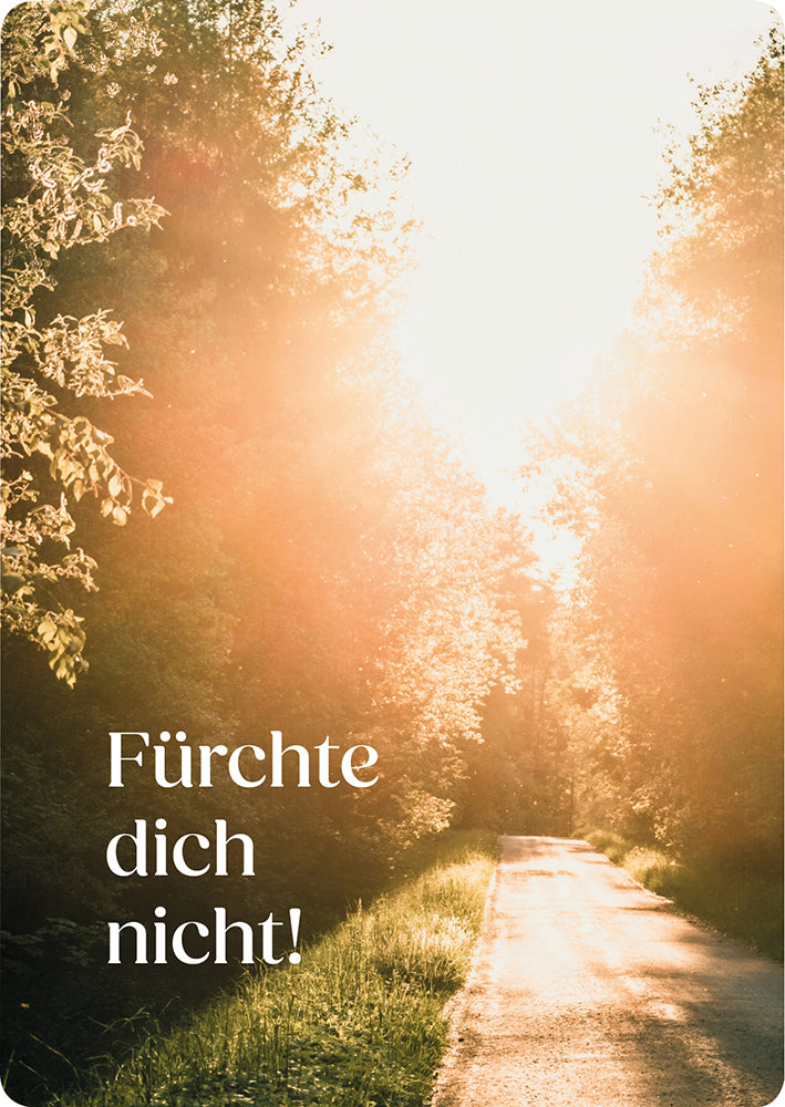 Frontcover zum Titel Fürchte dich nicht!