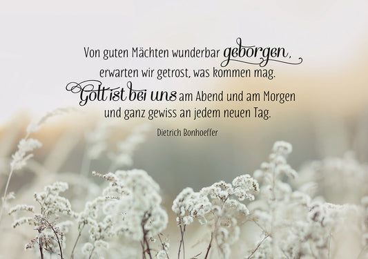 Frontcover zum Titel Von guten Mächten wunderbar geborgen, erwarten wir getrost, was kommen mag.